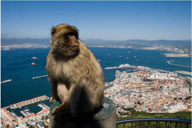 Paseo Maritimo De Cadiz Διαμέρισμα Εξωτερικό φωτογραφία